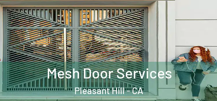Mesh Door Services Pleasant Hill - CA